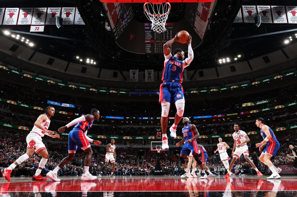 塞鸟是一位 塞鸟是一位